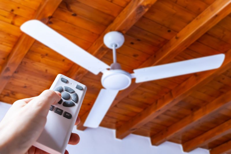 Ceiling Fan Replacement in Olathe, KS