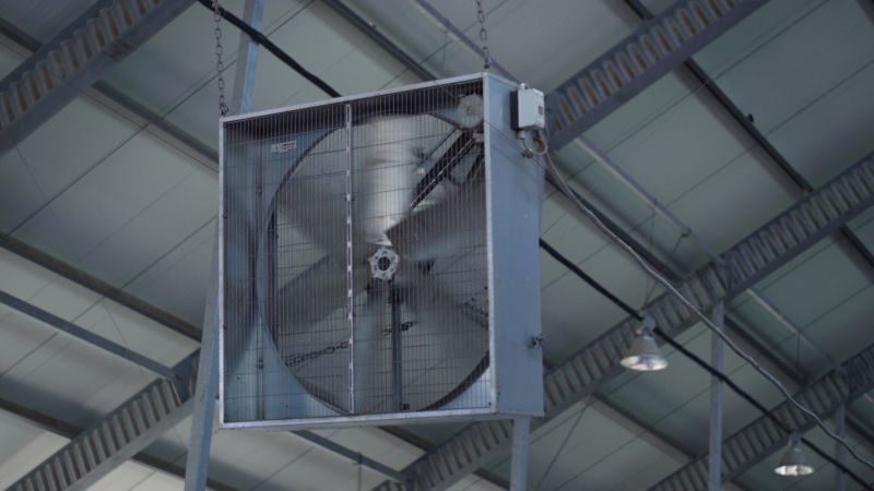 Chandelier Fan Repair in Denver, CO